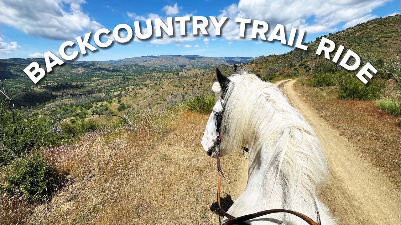 Draft Horse Trail Ride (ASMR - minimal talking) | GoPro - Henry Coe State Park