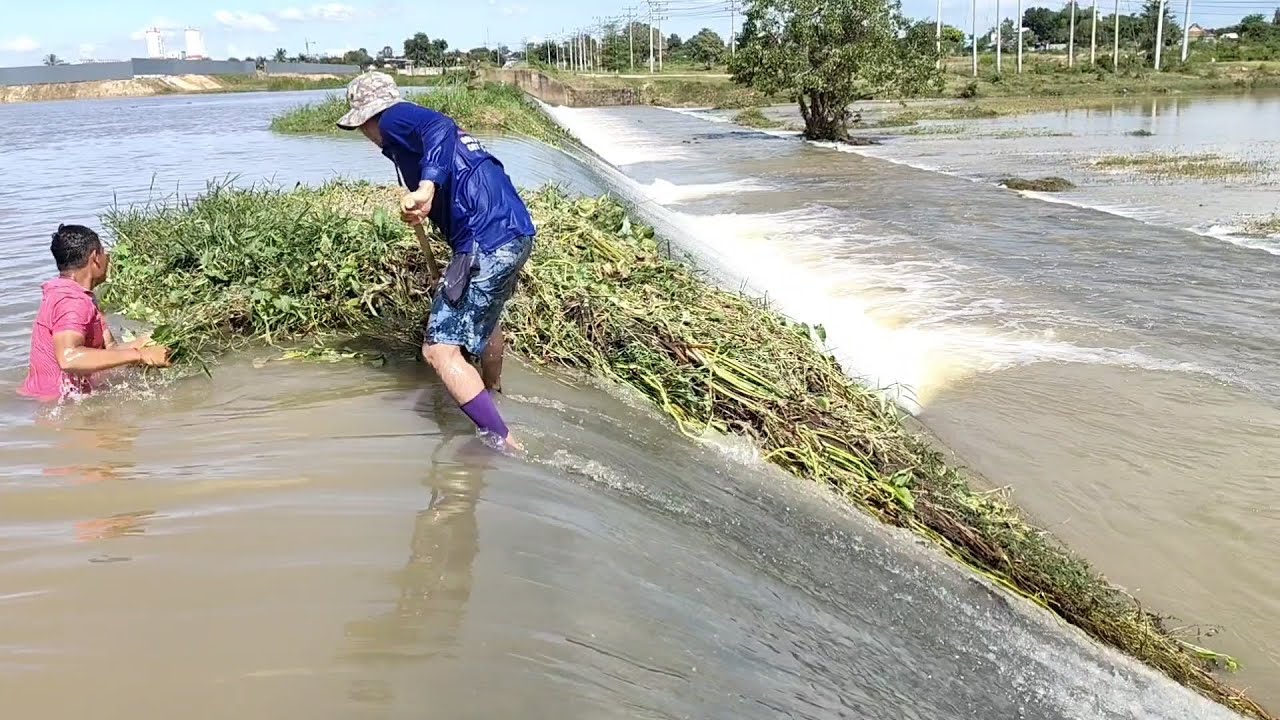 The difficult task of removing floating plants that are stuck on a large drainage dam