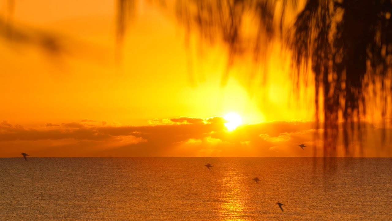 Relaxing and peaceful ocean sunrise - Sounds of Nature - ASMR - Stress relief - 4K
