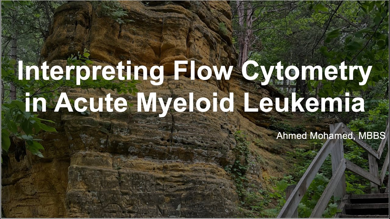 Interpreting Flow Cytometry in Acute Myeloid Leukemia: Approach and Key Findings