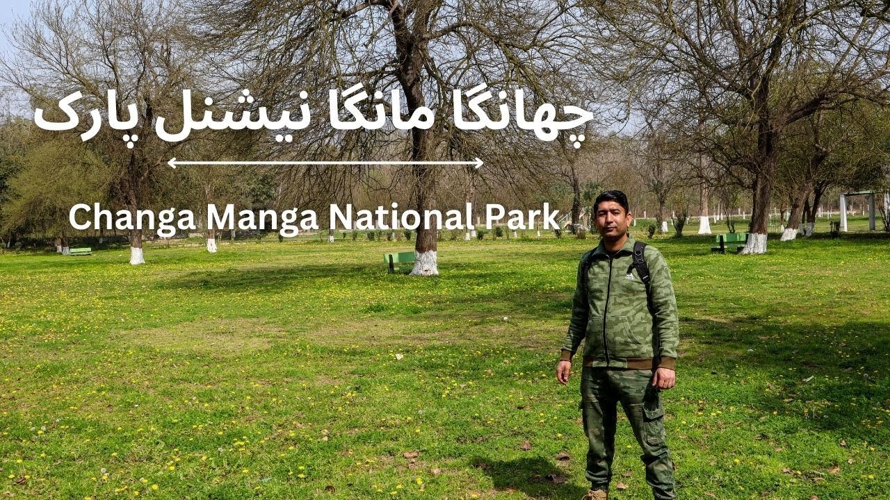 Lahore to Changa Manga Forest National Park | Trip to Changa Manga | Best Place for Sunday Picnic