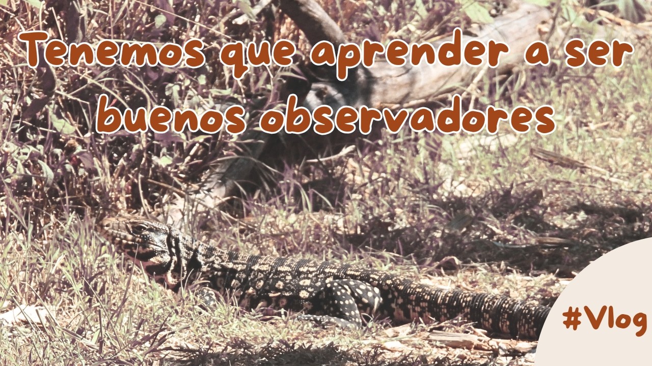 ¿Qué podemos ver en San Isidro en 1h 30min?