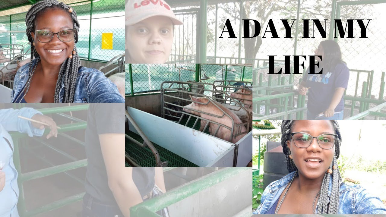A DAY IN MY LIFE AS A FINAL YEAR STUDENT AT EARTH UNIVERSITY