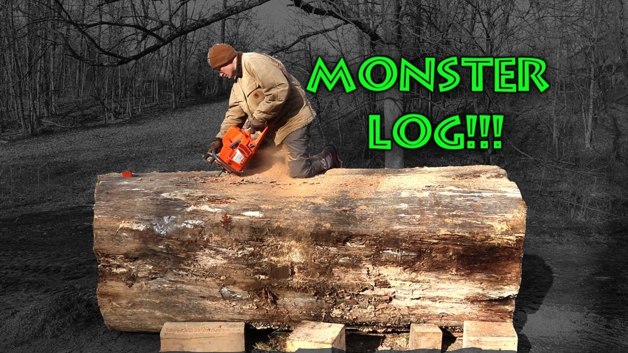 BIGGEST LOG EVER! Wood-Mizer Sawmill and one man