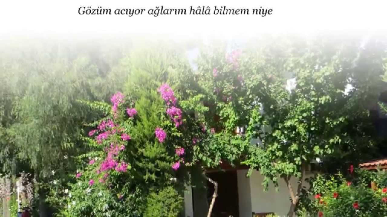 HÜZZAM FASLI Seçmeler 3