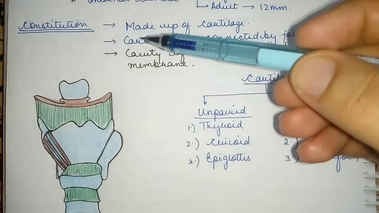 General features of Larynx