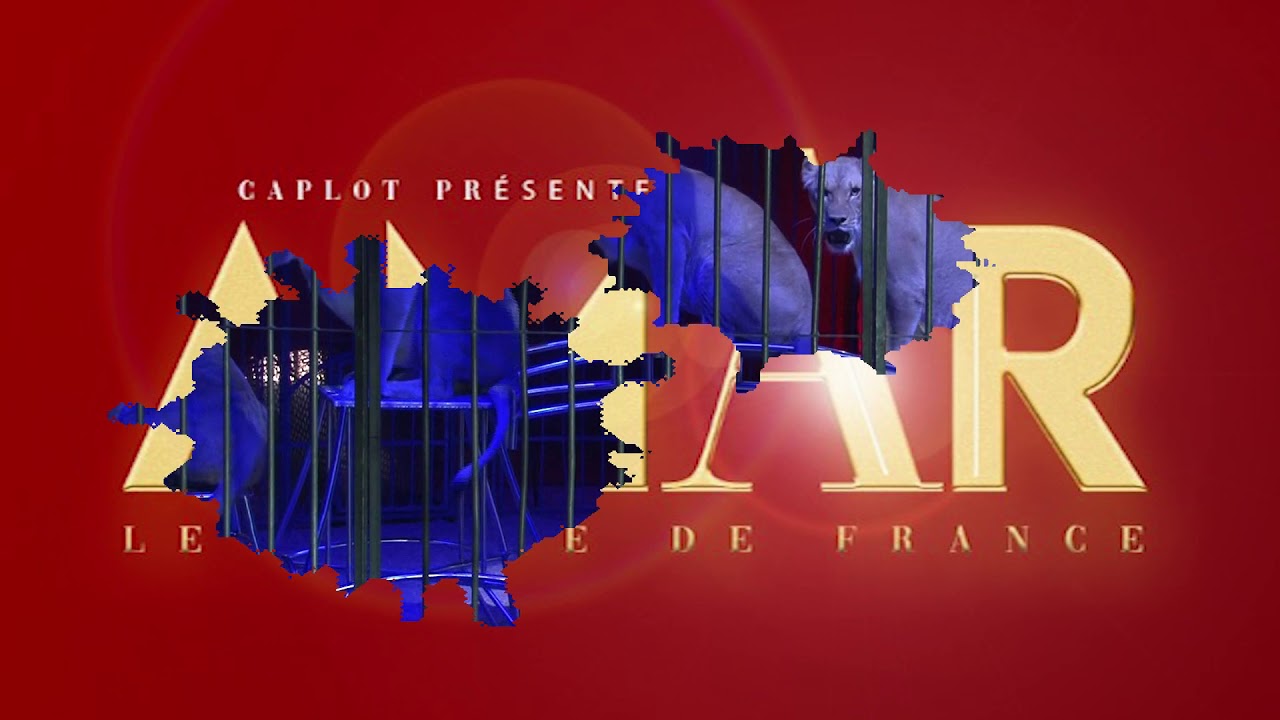 Cirque AMAR 2020 caplot