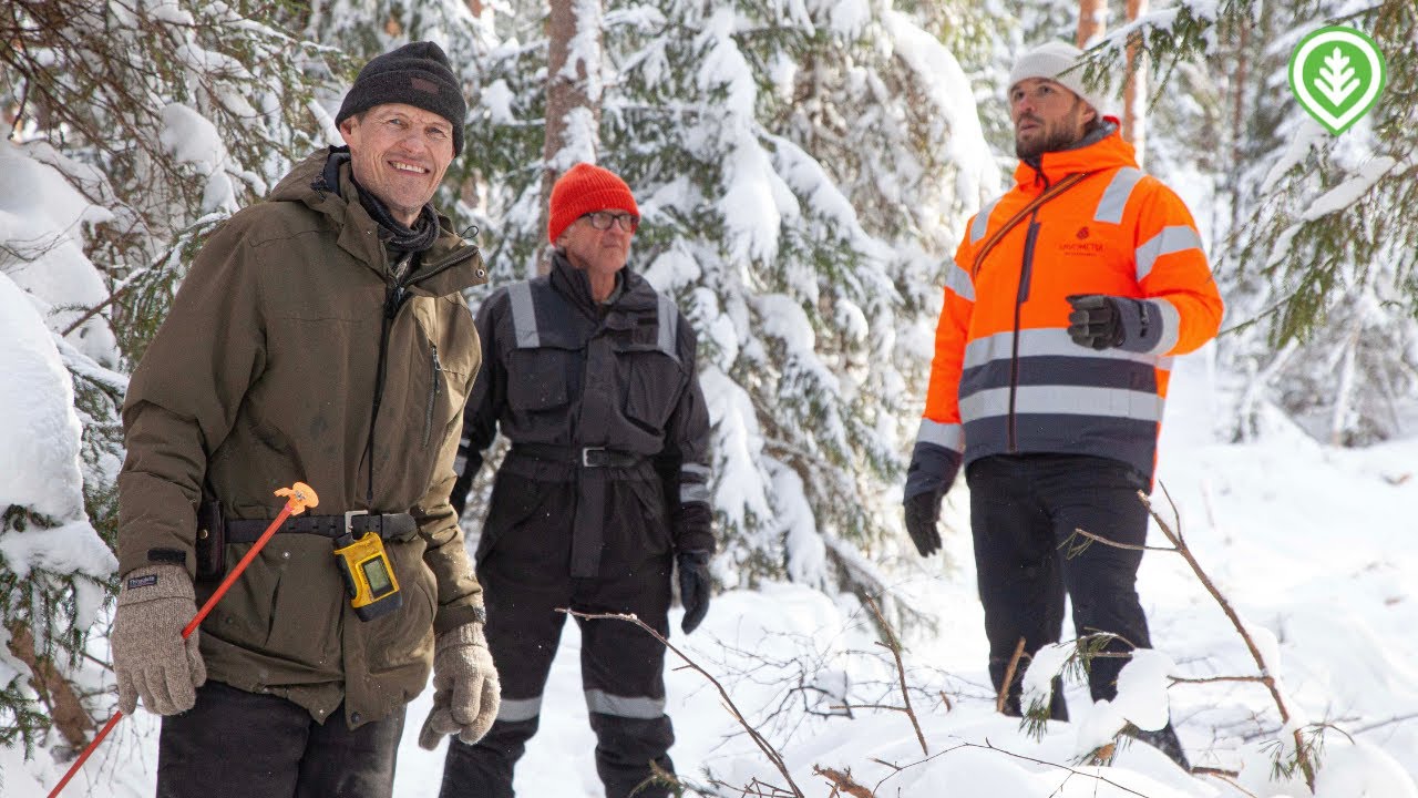 Jatkettua vai jatkuvaa kasvatusta?