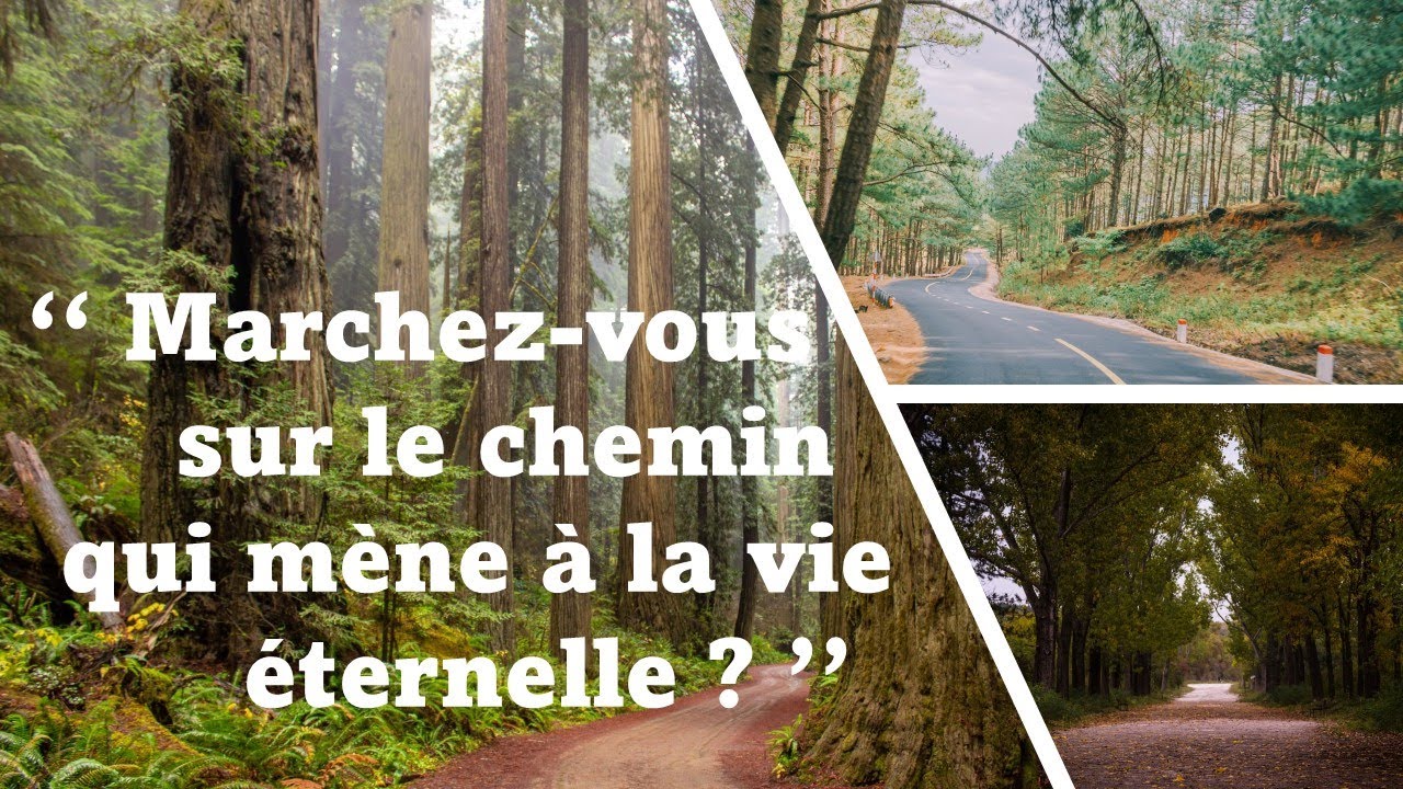 JW Discours Publique. || "Marchez-vous sur le chemin qui mène à la vie éternelle ?"