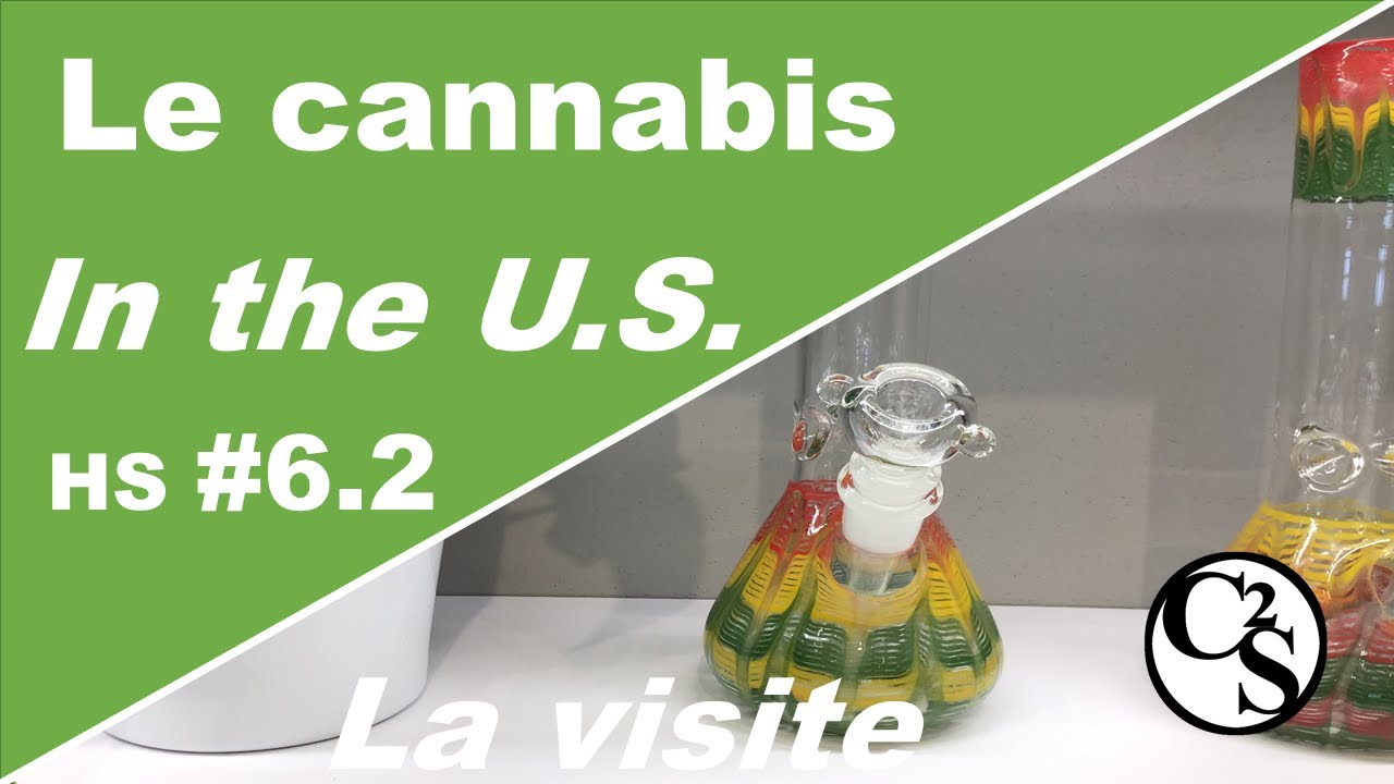 Special Issue 6 - Bonus : Visit a cannabis dispensary