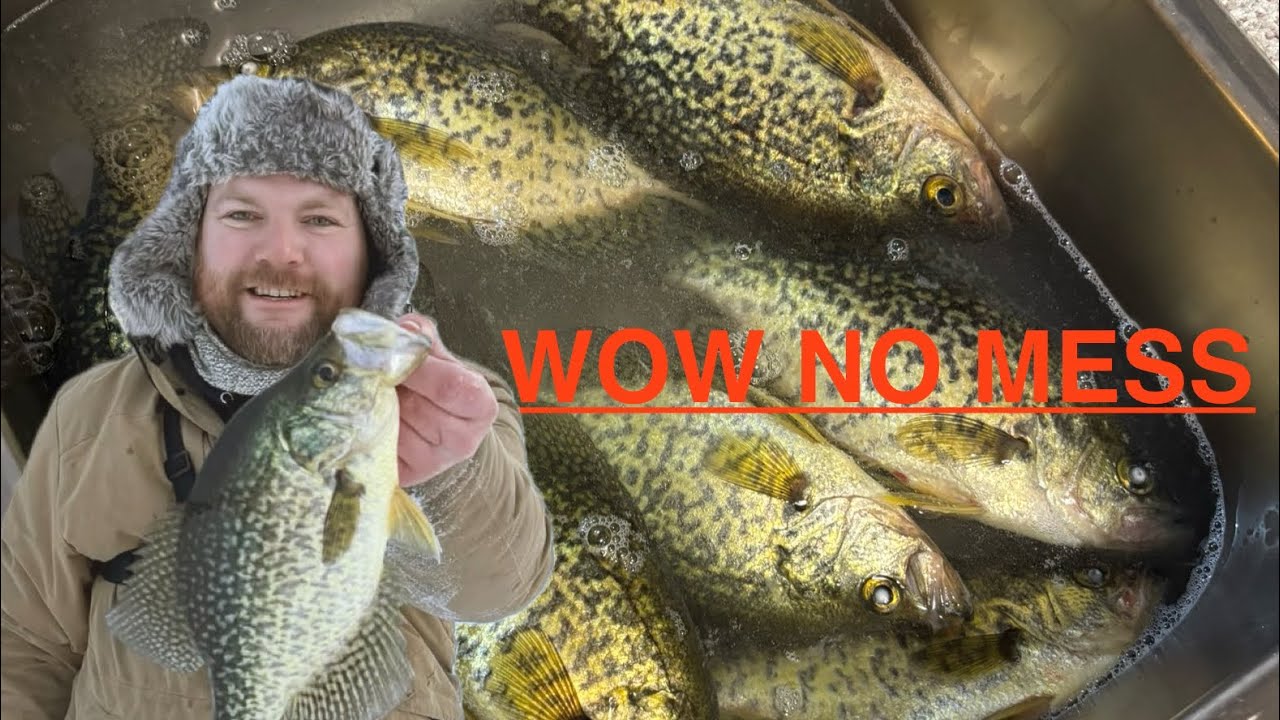 How to fillet crappie NO MESS,skinless boneless