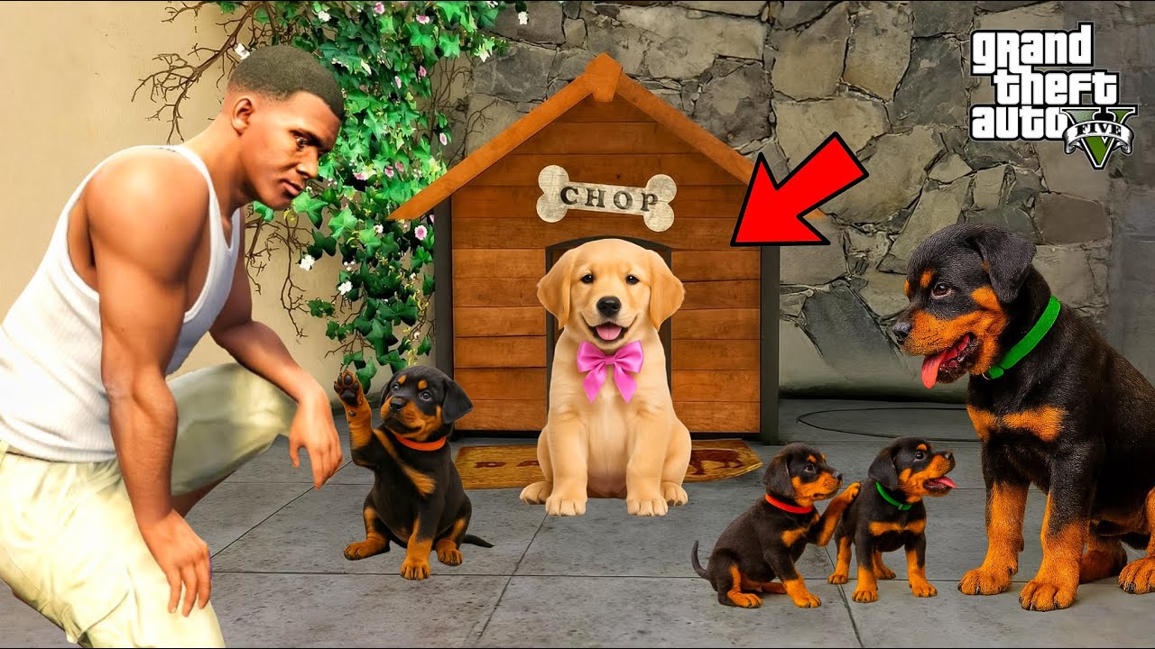 Franklin Gets Attacked by 1000 Cute Puppies| GTA 5 Chop & Shin chan in Telugu