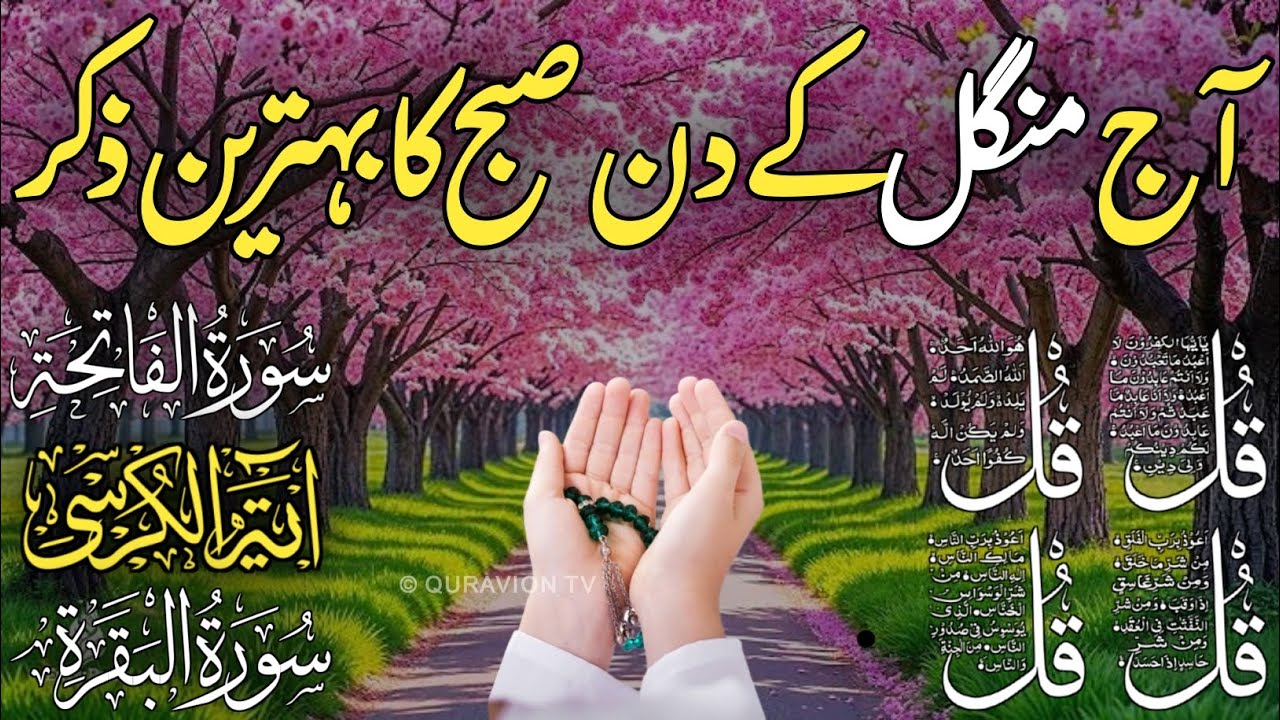 💚Morning Wazifa | Surah Fatiha | Ayatul Kursi | Surah Baqarah | Darood Tanjeena | 4 Qu l Ep 1