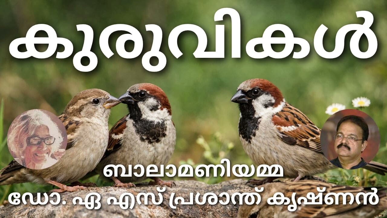 #കുരുവികൾ#മലയാള കവിത##ബാലാമണിയമ്മ#ആലാപനം## ഡോ. ഏ.എസ്. പ്രശാന്ത് കൃഷ്ണൻ