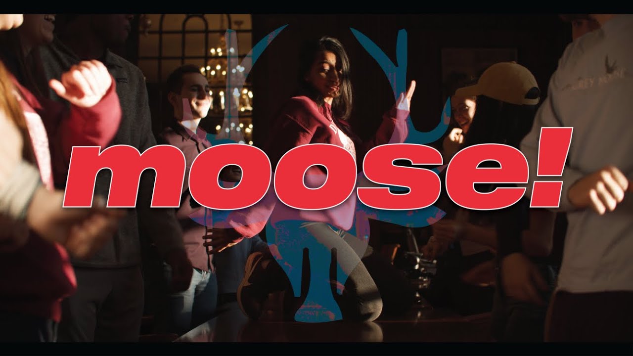 Moose - Dunster Housing Day 2020