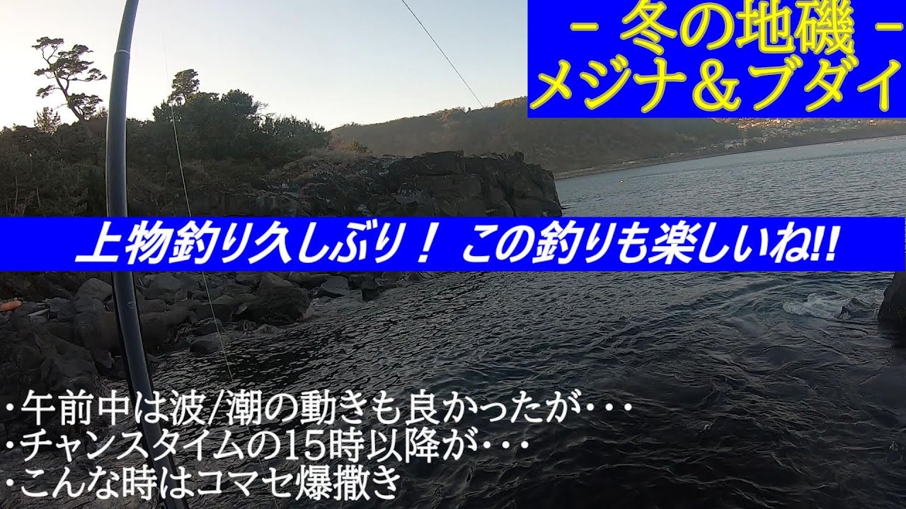 - 冬の地磯 メジナ＆ブダイ釣り -