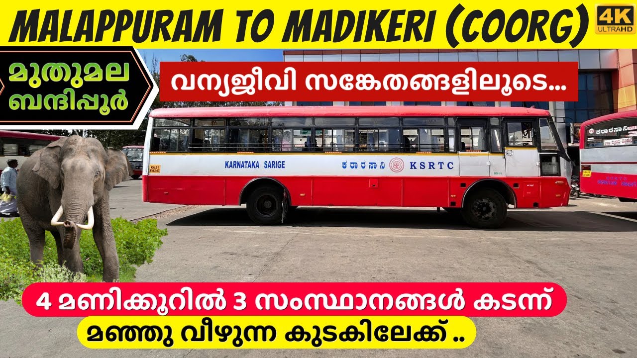 A bus crossing 2 Tiger reserves and 3 States in just 4 hours | MALAPPURAM to MADIKERI KSRTC Sarige