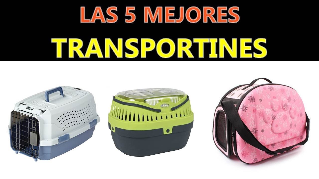 Mejores Transportines 2020