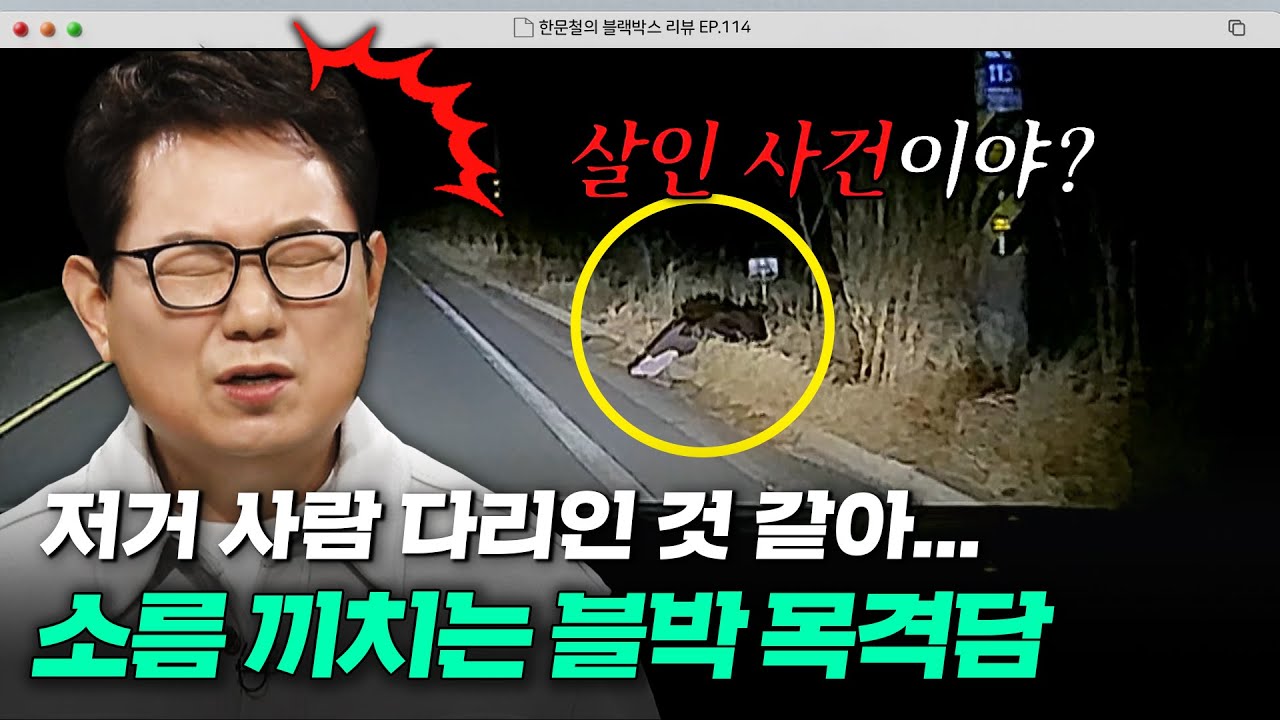 블박 차주 깜짝 놀라게 한 정체불명의 생물💦 어둠 속 도로, 기상천외한 사건들! | 한블리 (한문철의 블랙박스 리뷰) | JTBC 250204 방송