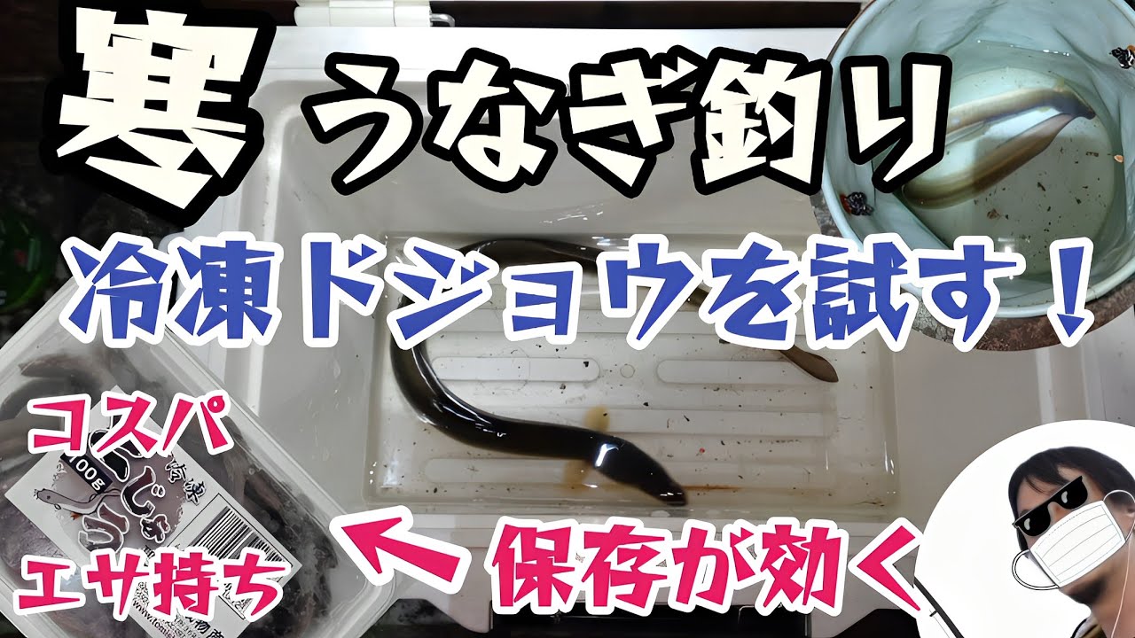【うなぎ釣り】冷凍ドジョウで寒ウナギを狙う！