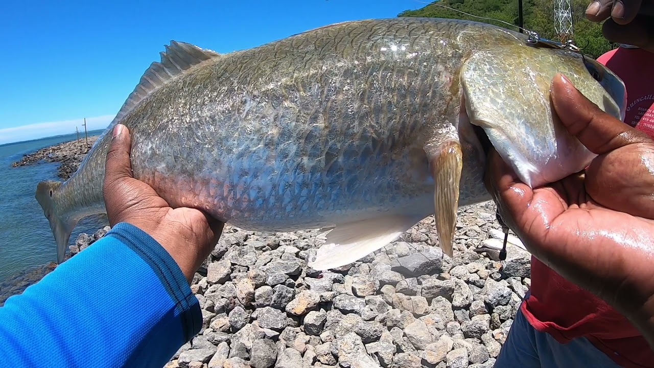 Fishing at Pointe Canon, Mauritius.