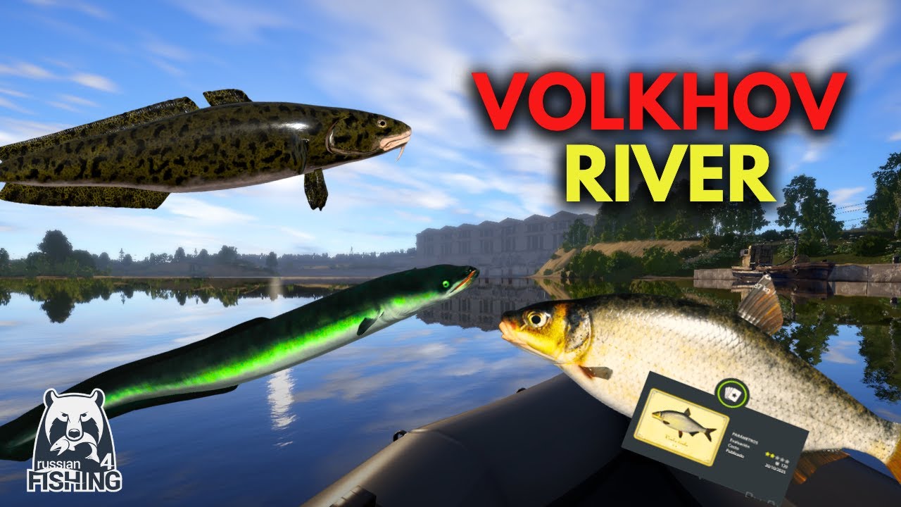 Fishing in Volkhov River | RF4 (Vimba, Burbot and Eel)