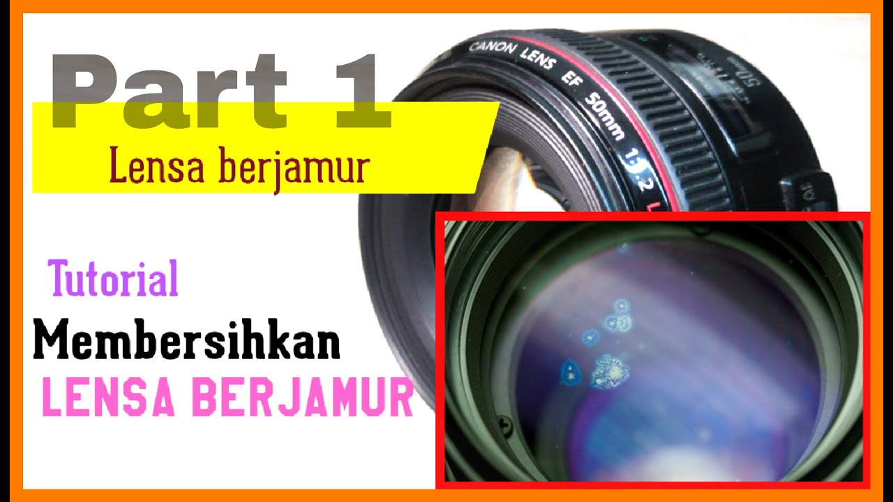 Lensa berjamur #part 1