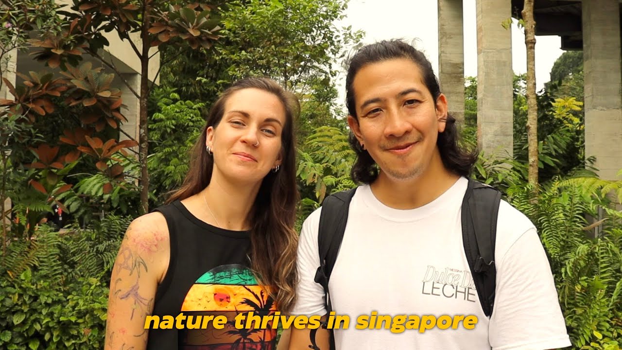 singapore nature park is even more beautiful // rifle range after two years