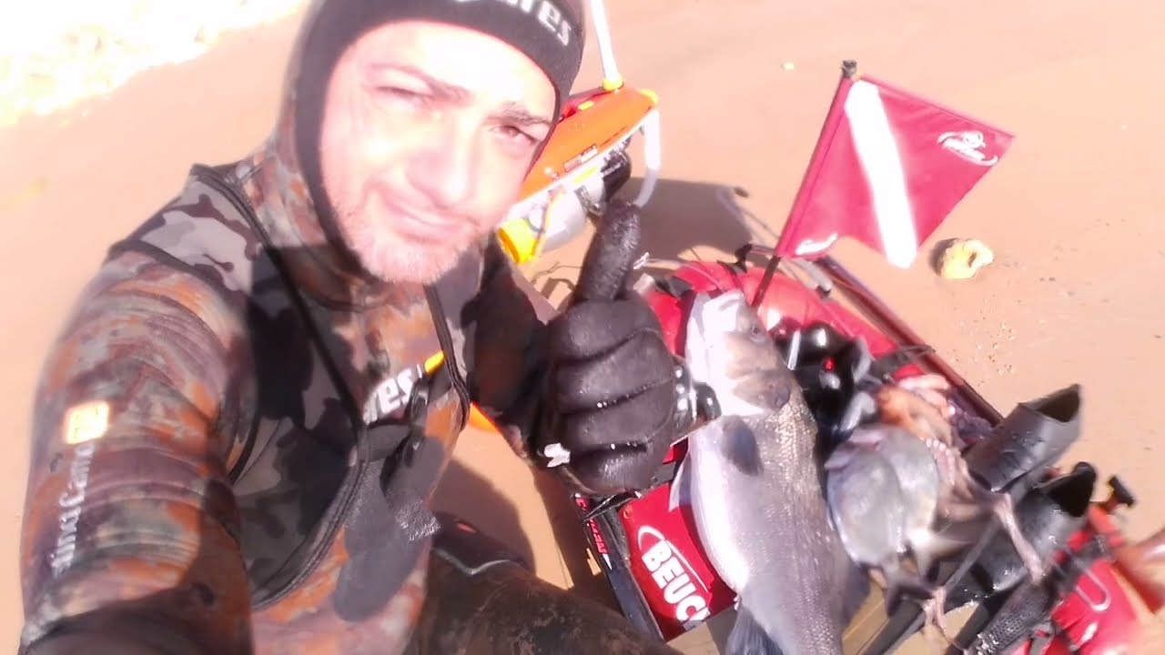 pescasub: Spigolona e saraghi