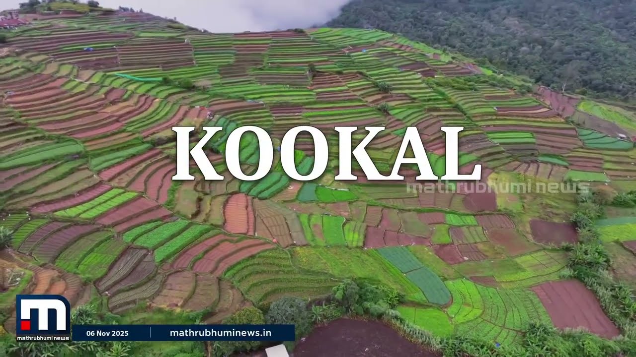 വെള്ളച്ചാട്ടം, പൈൻമരങ്ങൾ, ​ഗ്രാമഭം​ഗി! കാടിന് നടുവിൽ മനോഹരിയായി കൂക്കൽ | Kodaikanal | Kookal