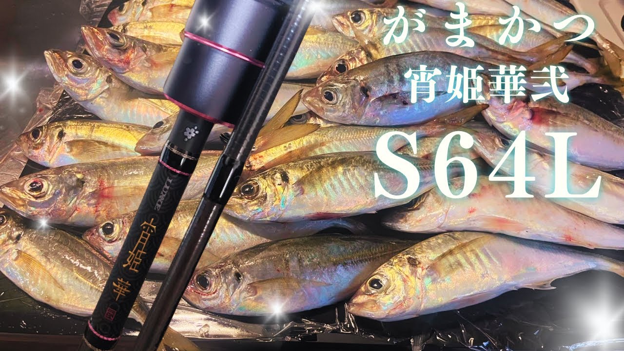 【アジング】がまかつ宵姫華弐S64L！至高の1本
