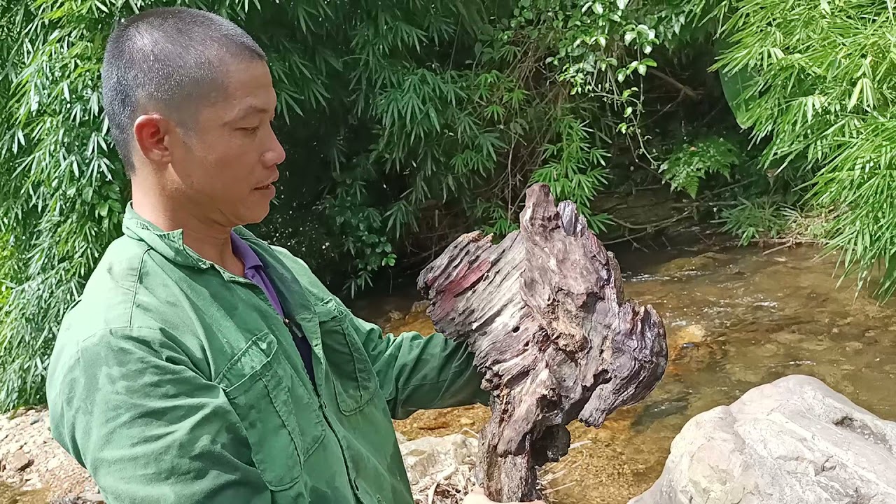 2 cậu cháu đi tìm đá suối