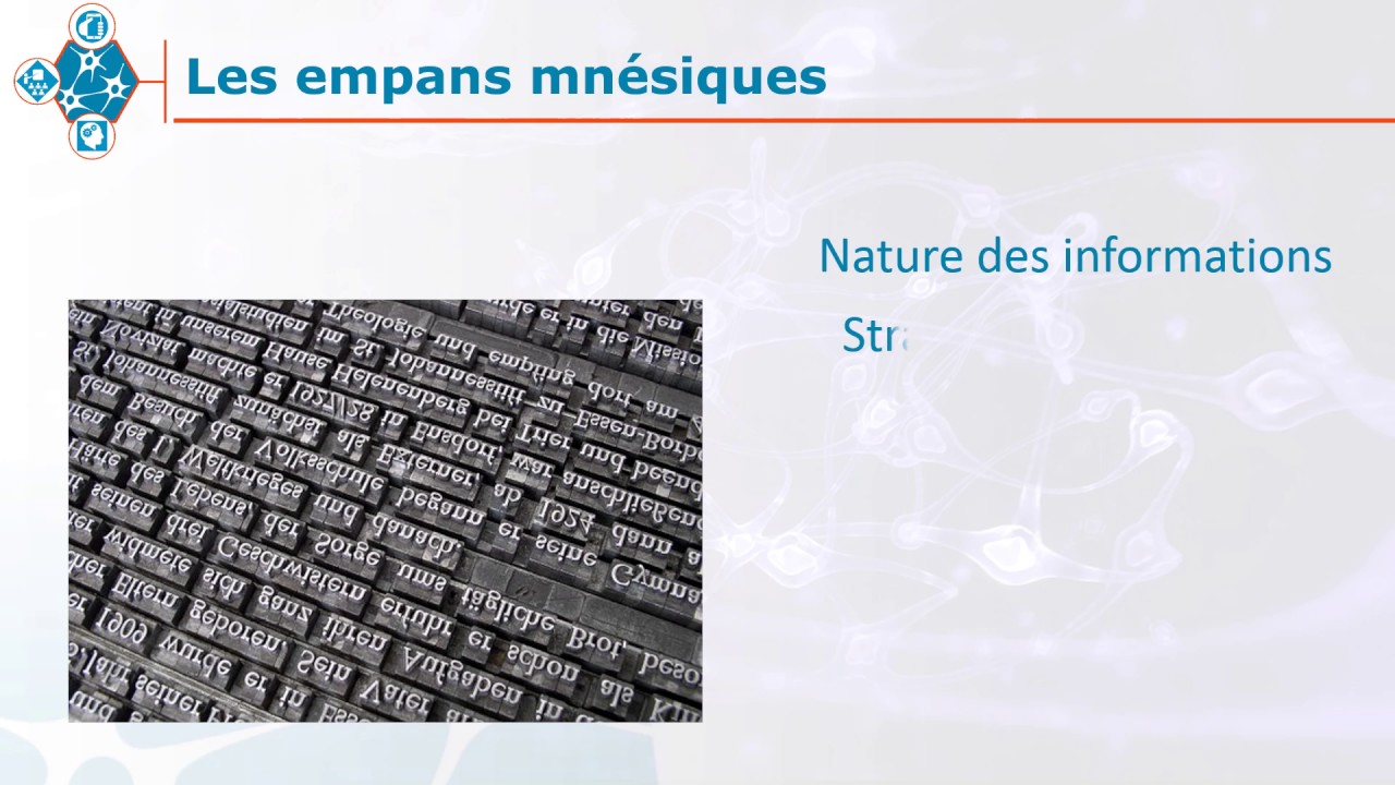 Impact p&eacute;dagogique de l'empan mn&eacute;sique