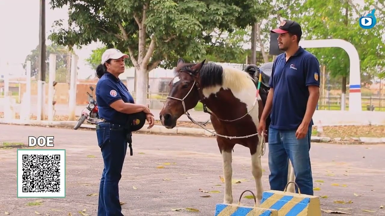 Instalação e Manutenção de um Centro de Equoterapia