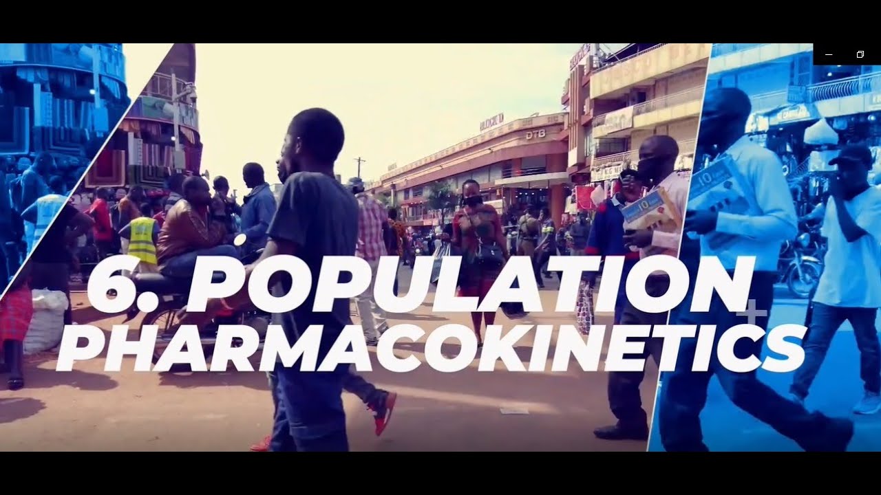 Population Pharmacokinetics (PK)