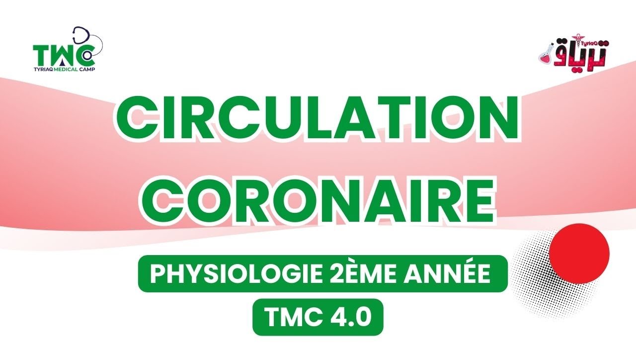 #physiologie 2ème : circulation coronaire - By Rania Guettai