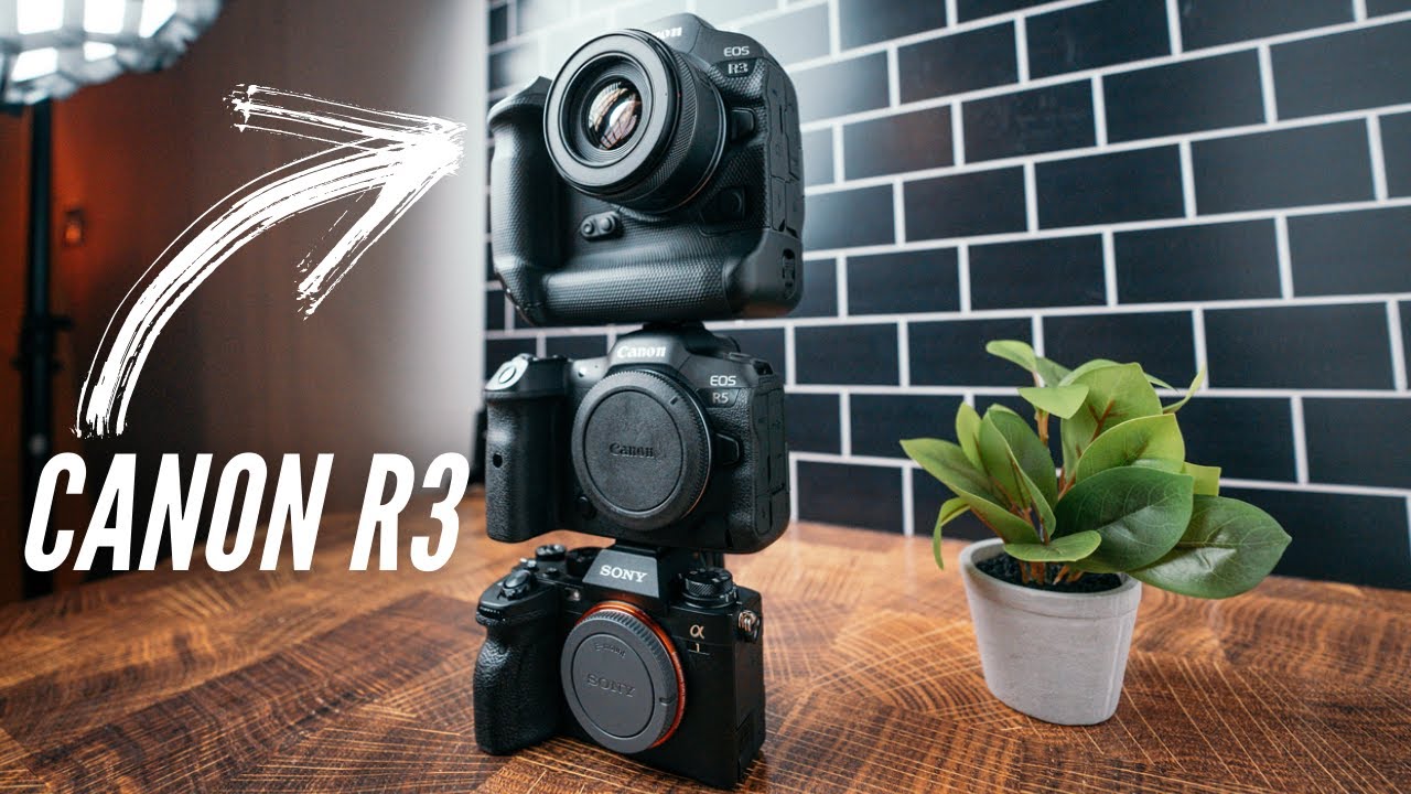 Качество изображения Canon R3 и Canon R5: ОГРОМНАЯ РАЗНИЦА!