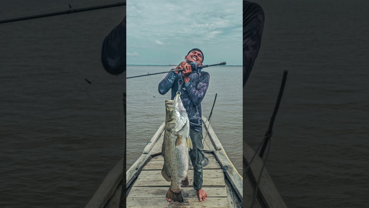 Big Barra 🔥 #angler2001 #barramundi #bigfish #pesca #fishing #kakapputihbabon