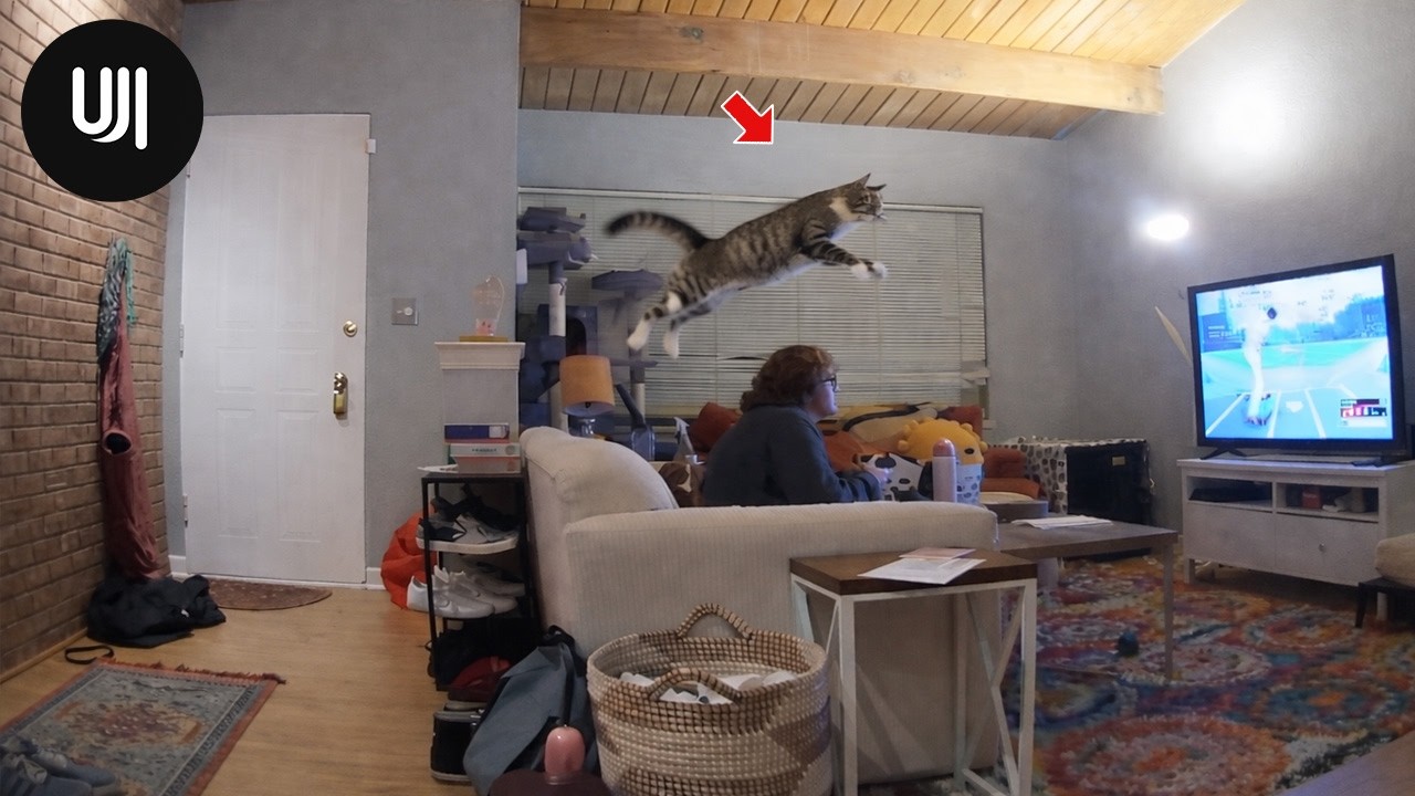 Моменты, запечатленные за секунды до катастрофы | Невероятные моменты, снятые на камеру