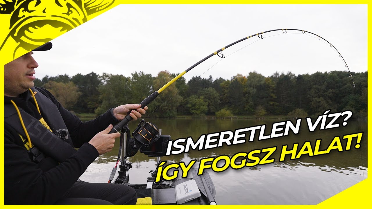 Őszi technikáimat próbáltam ki egy ismeretlen vízen… Nagy hiba volt🤔? harcsázás egy tavon - harcsa