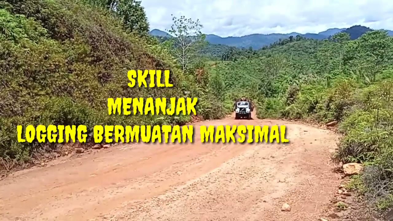 kekuatan tenaga Logging milik PT. Erna Djuliawati saat menanjak muatan full