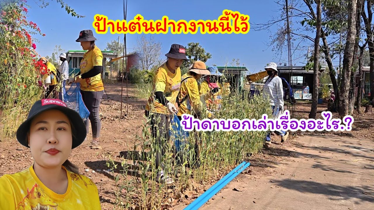 ป้าแต๋นฝากงานนี้ไว้  ป้าดาบอกแบบนี้  ใครมีความลับ#ปุ๊แม่น้องหมิว 