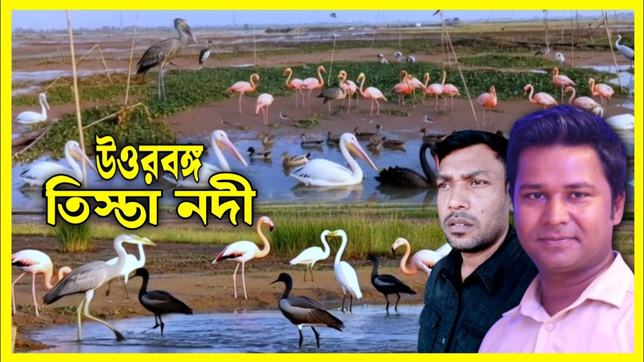 তিস্তা নদীর অপূর্ব সৌন্দর্য অতিথি পাখির এক মিলন মেলা। Salauddin suman viral video!