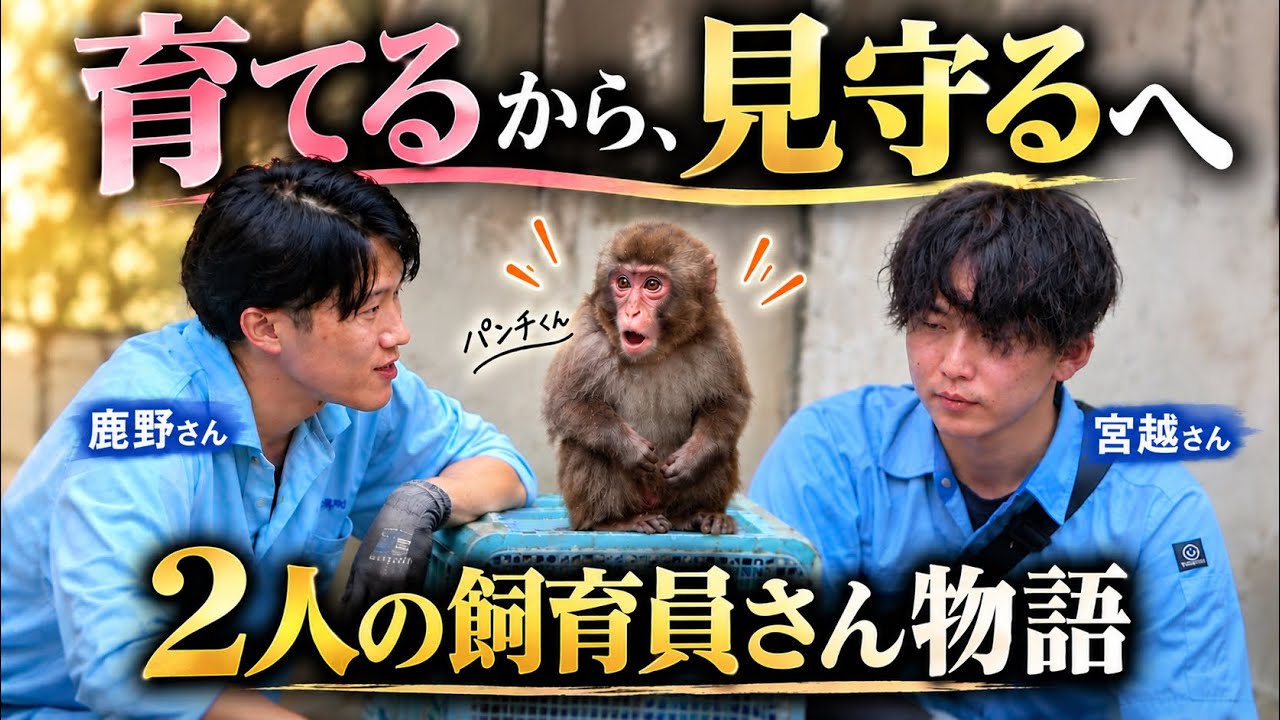 【パンチくん🐵】パパ飼育員さんにありがとうを伝えたい！３時間おきの授乳から群れ入りまで‥陰で支え続けてくれた♡