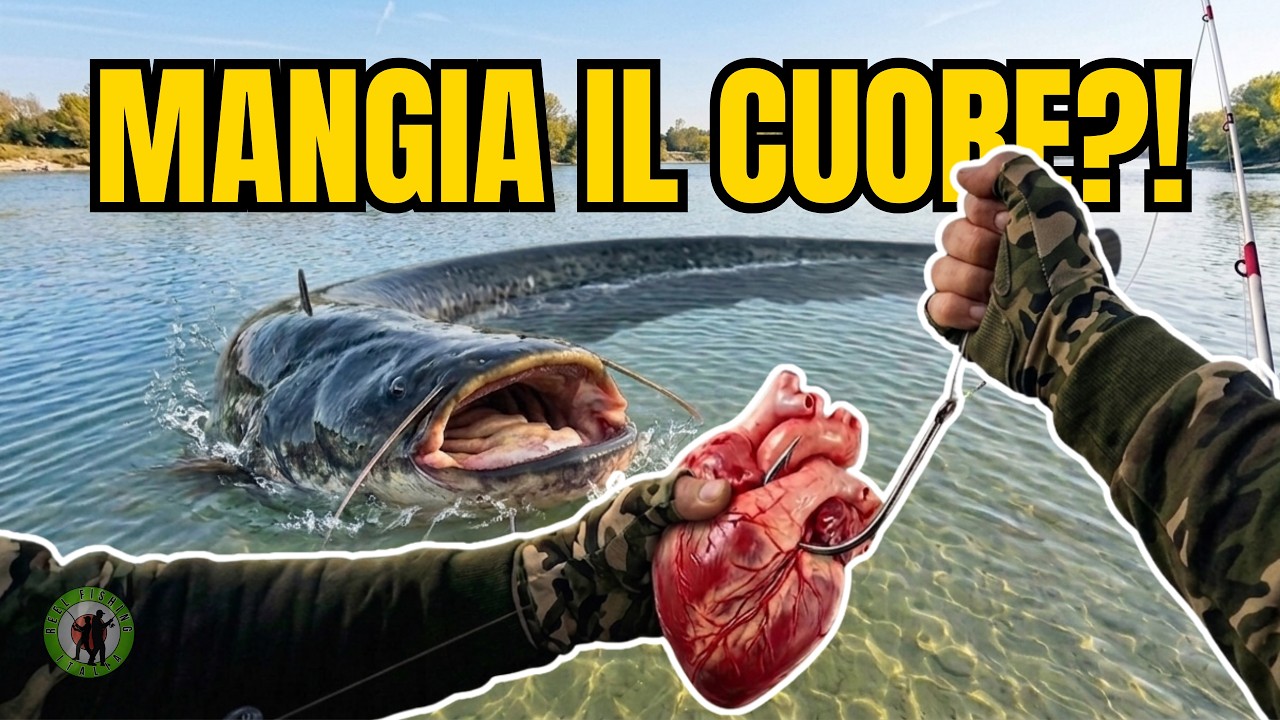 SILURO con il CUORE di TACCHINO sul PO… Marzo promette sorprese