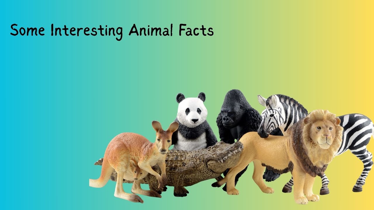 some interesting animal facts