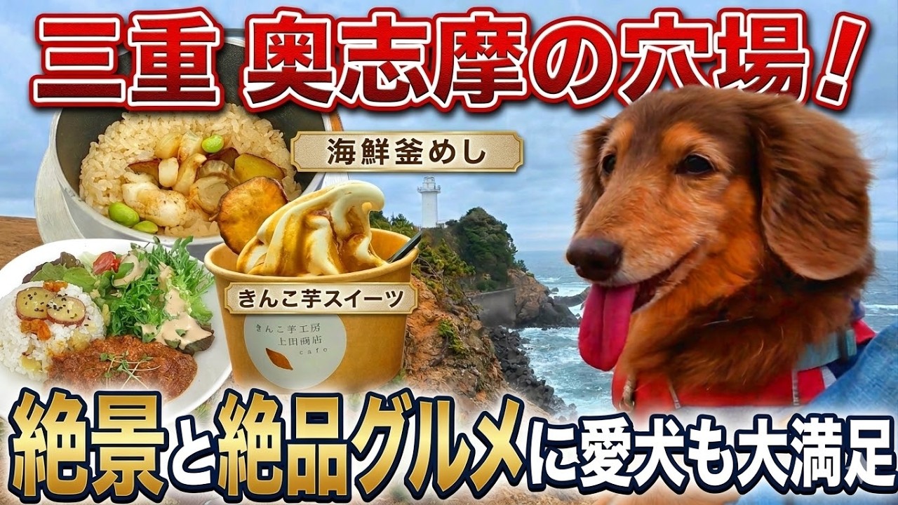 【三重 志摩】この穴場、最高すぎた！絶品海鮮釜めし＆きんこ芋スイーツで愛犬と絶景散歩を満喫