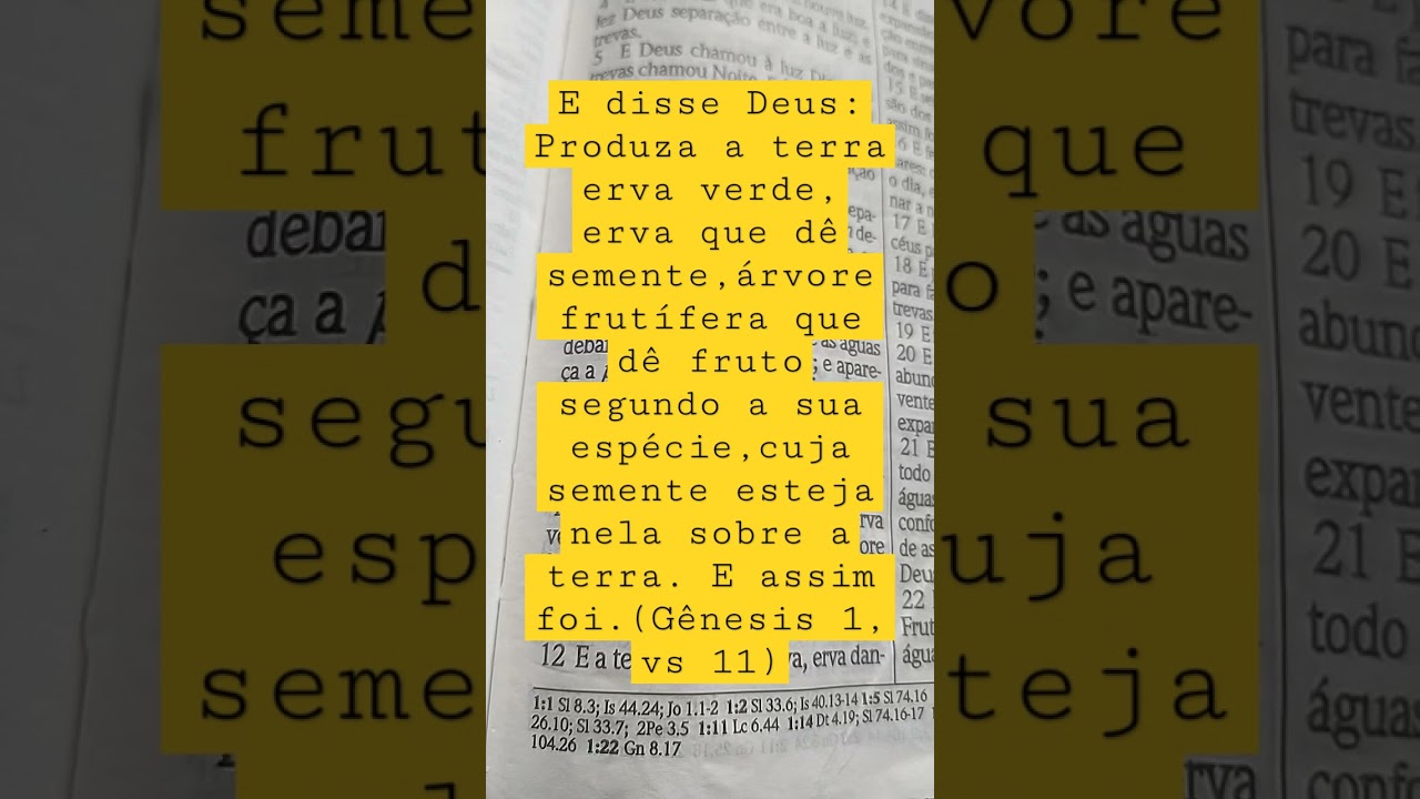 E disse Deus: Produza a terra erva verde, erva que d&ecirc; semente, &aacute;rvore frut&iacute;fera...(G&ecirc;nesis 1, vs 11)