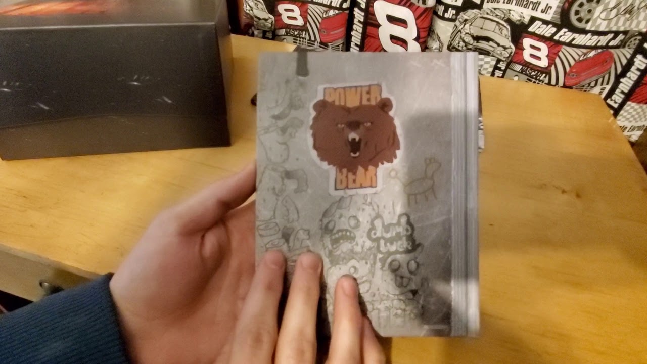 Life IS Strange 2 Collector's Edition Unboxing. 26th birthday special. 1 year anniversary.