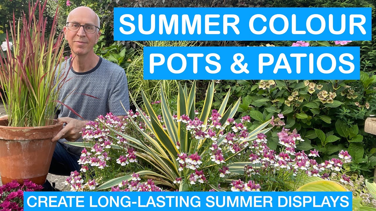 SUMMER COLOUR FOR POTS & PATIOS – LONG-LASTING COLOUR ALL SUMMER